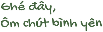 Ghé đây, ôm chút bình yên